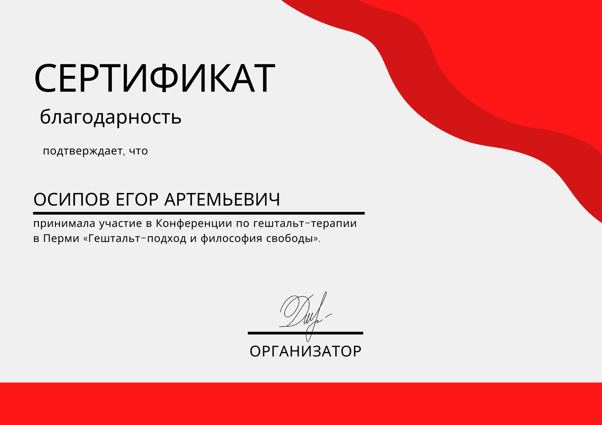 Фотография сертификата Осипова Егора Артемьевича за участие в конференции